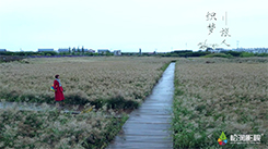 織夢旅人